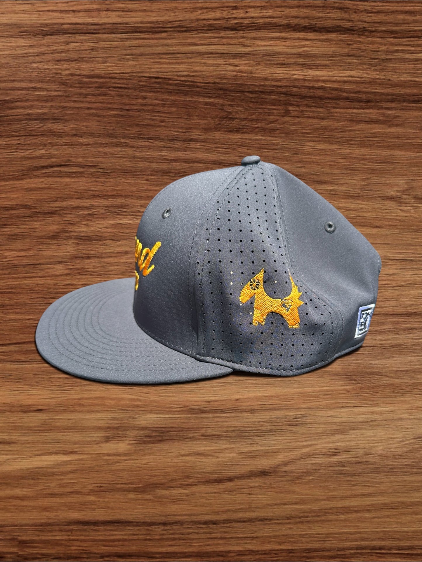 Gray Hat w/ Yellow Logo